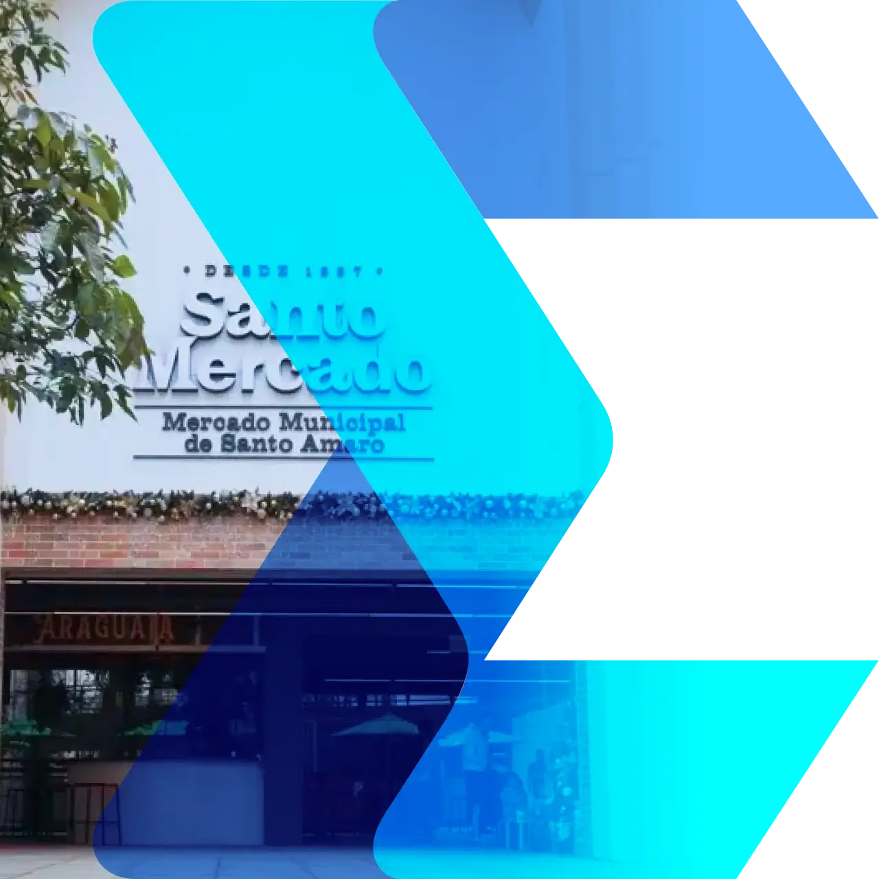 Image Categoria